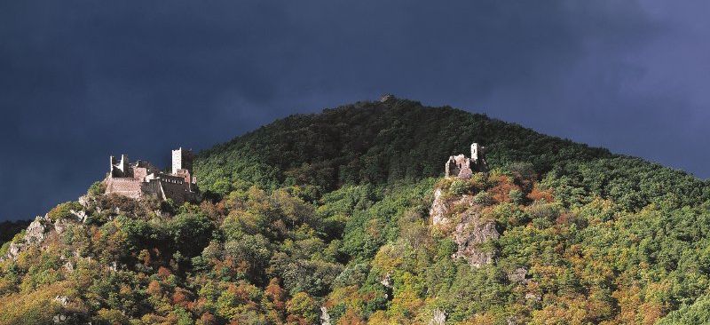 Les 3 châteaux de Ribeauvillé